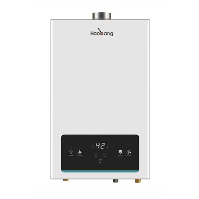 Wall-mounted Flue Gas Water Heater with Electric and Gas Power Touch Panel Control and 220V Voltage